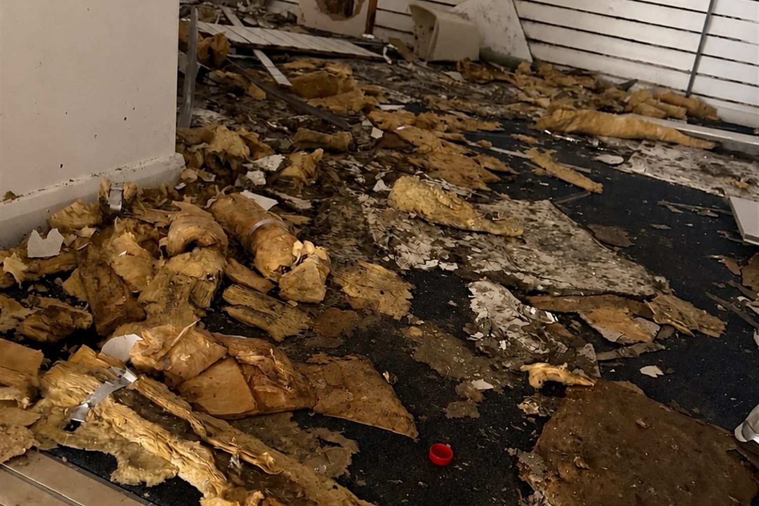 Lifted flooring and old adhesive